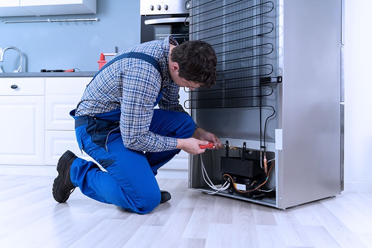 تعمیر یخچال فریزر پیروزی